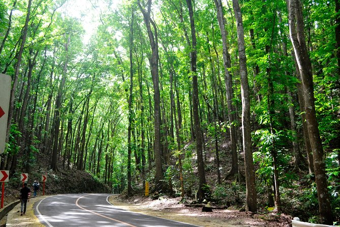 Full-Day Bohol Excursion – Depart Cebu (Best Seller)