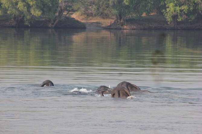 Full-Day Chobe Trip Botswana