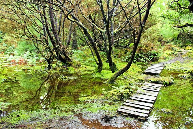 Full-Day Hiking Tour in Terceira Island – Mistérios Negros