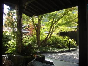 Hidaji (Adult Only) - Key Points