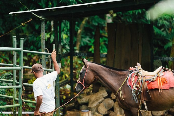 Horseback Riding and Waterfalls From Manuel Antonio - Highlights of the Experience