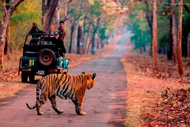 Jaipur: Private Transfer To/From Sawai Madhopur - Pickup and Drop-off Details