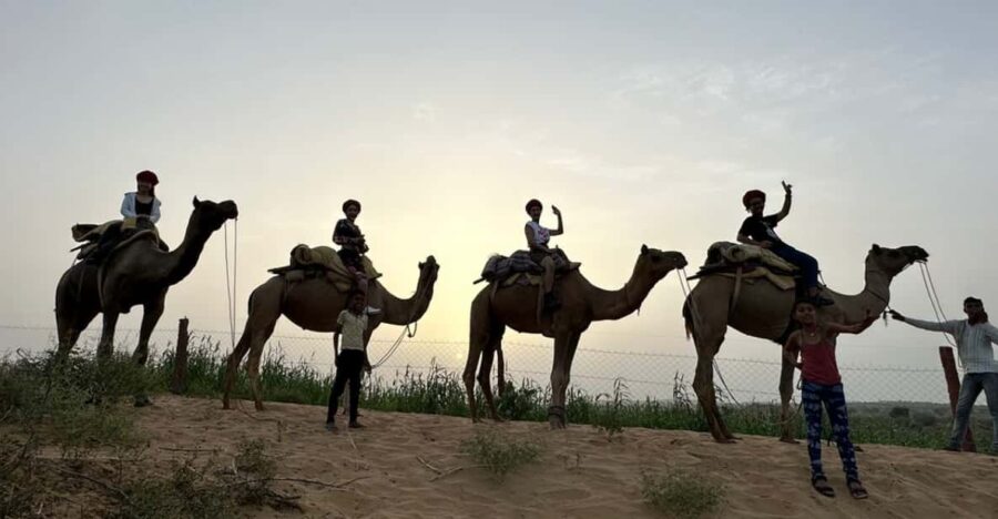 Jodhapur Desert Camel and Jeep Safari SR