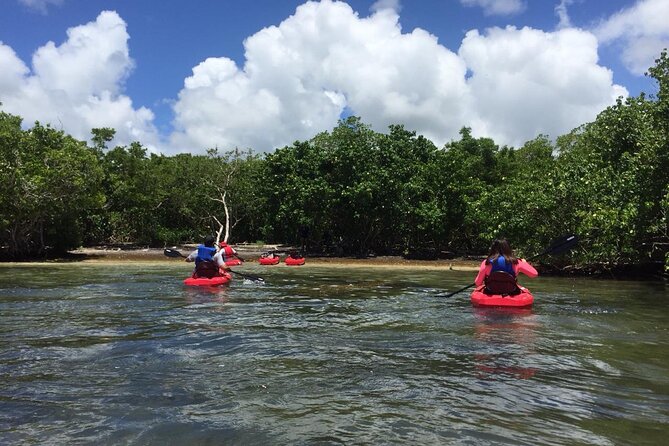 2 Best Canoe And Kayak Experiences In St Lucia
