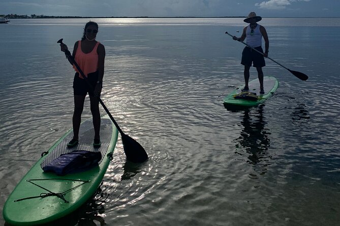 Best 1 Hour Tours and Experiences in Key Largo