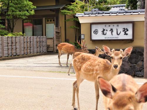 Kotonoyado Musashino - Key Points