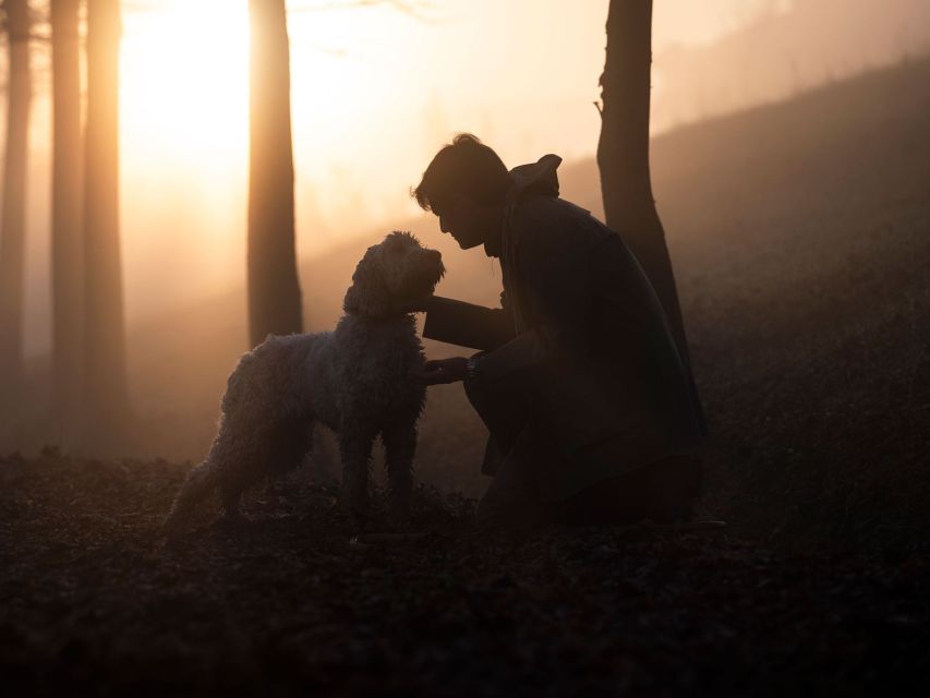 Langhe: Truffle Hunting Tour at Sunset - Stunning Langhe Landscapes