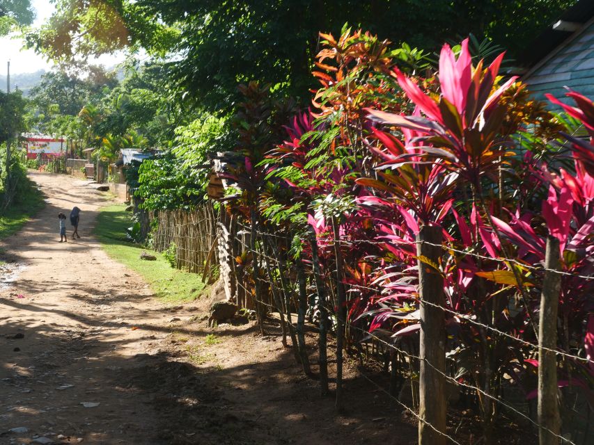 Las Terrenas: The Limón Waterfall Trekking Tour in Samana