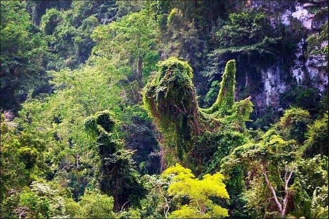 Los Haitises National Park Hiking + Kayaking (Private Excursion)