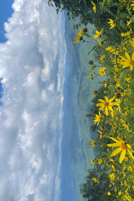 Maggie Valley: Guided Safari Jeep Mile-High Adventure