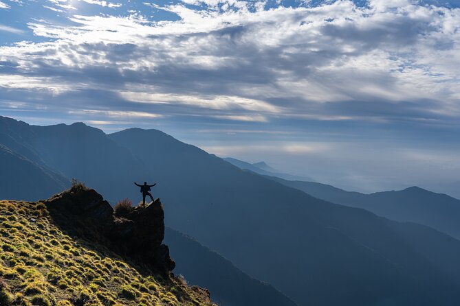 Mardi Trek