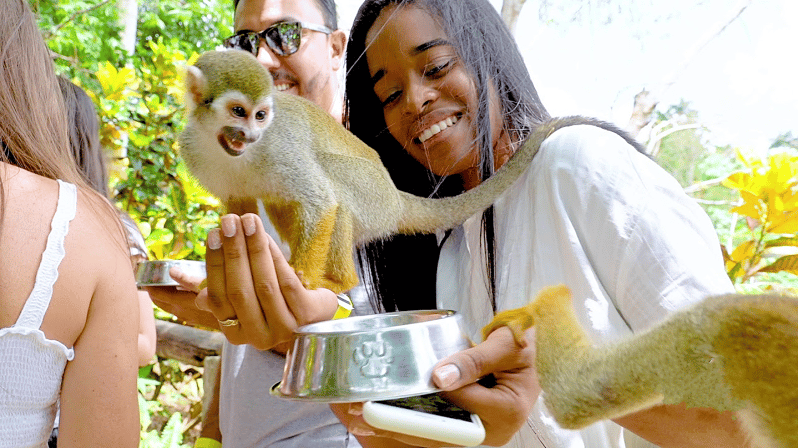 Monkeyland Tour + Transportation From Cruise/Hotel