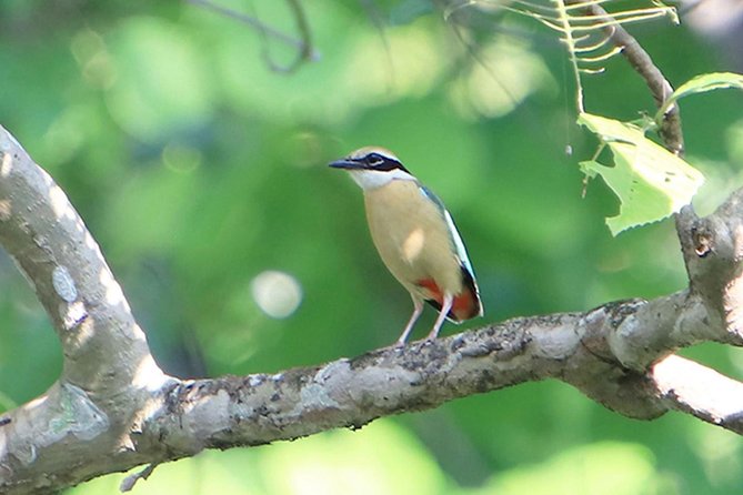 Nagarjung Day Hike