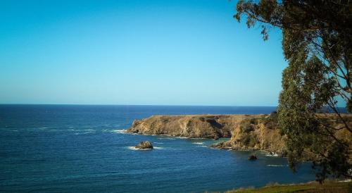 North Cliff Hotel - About Your Stay