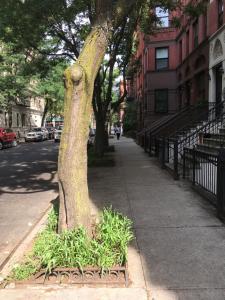 NYC Townhouse Apartment - Property Overview