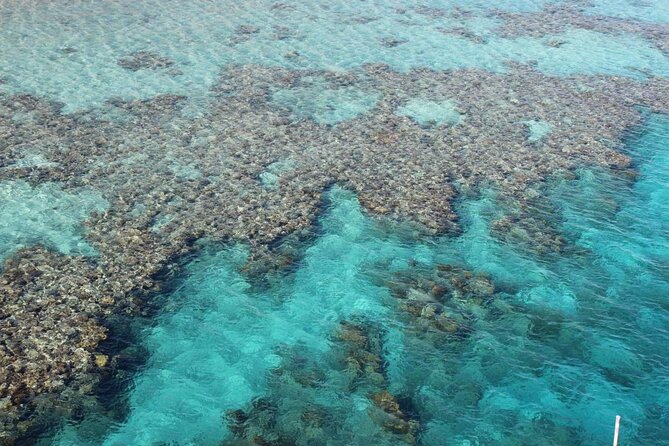 2 Best Scuba Diving Experiences In Eilat
