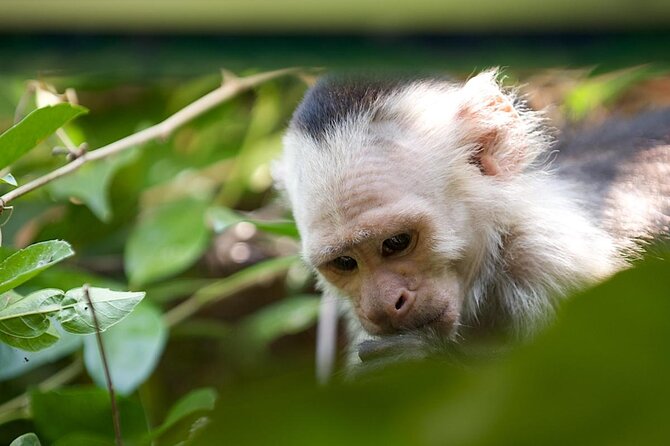 2 Best National Park Tours In Guanacaste and Northwest