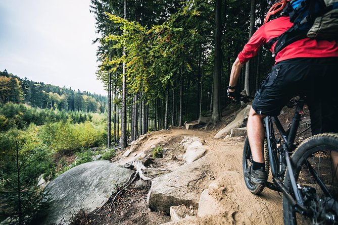 Private Custom Guided Mountain Bike Tour From Prague - Quick Points