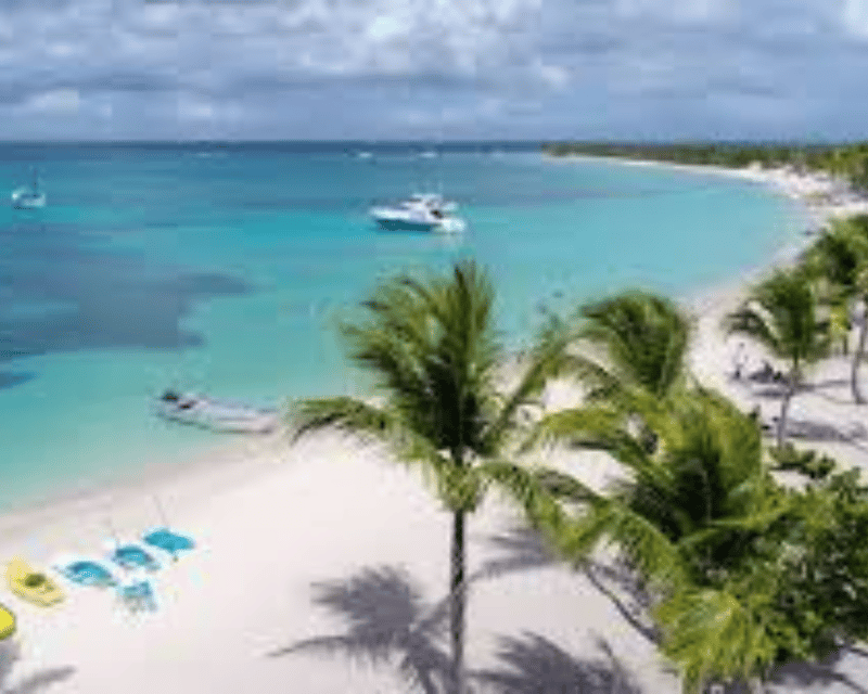 Punta Cana: Amazing Catamaran Adventure to Saona Island With Lunch