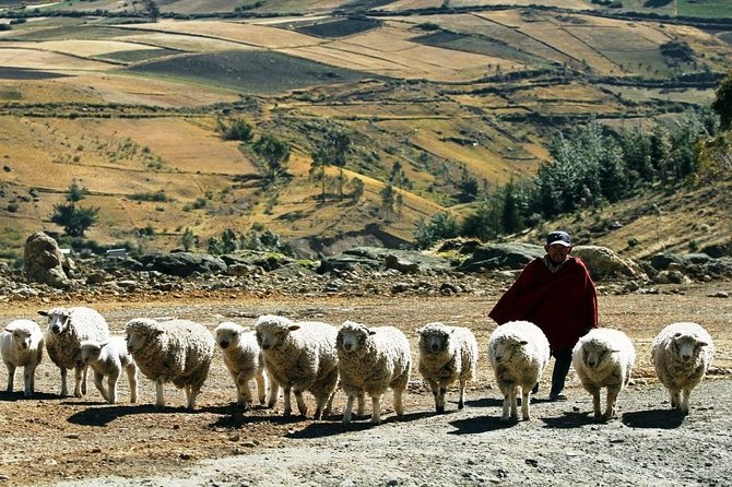 Quilotoa Loop 1 Day Tour From Quito