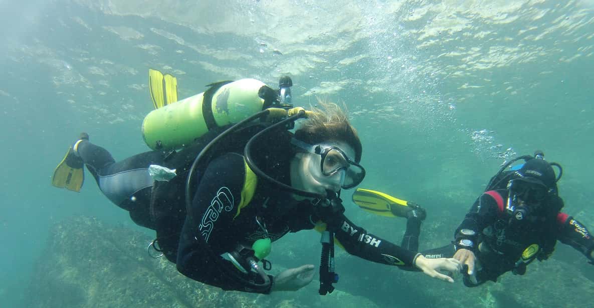 Rio: Best Dive Experience All Inclusive Scuba Diving Package - Key Points