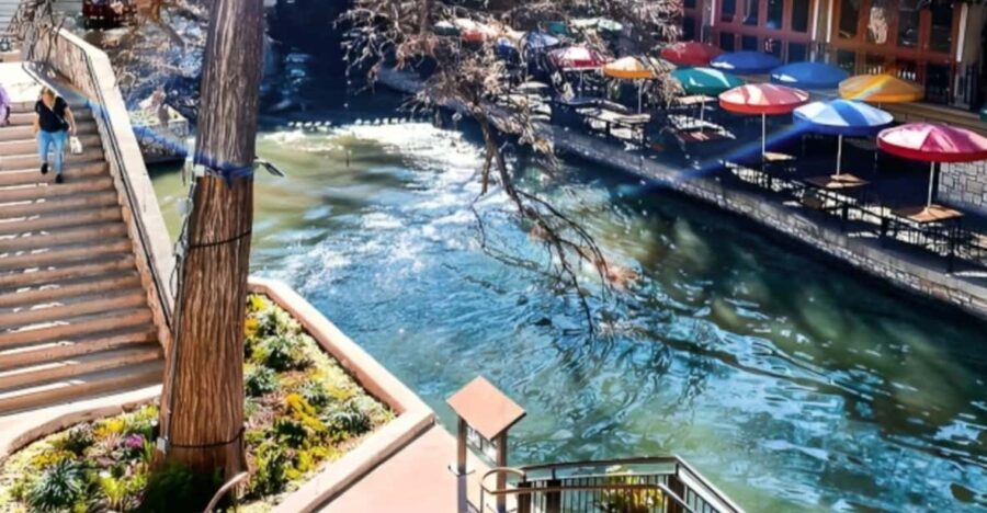 25 Best Tours In San Antonio