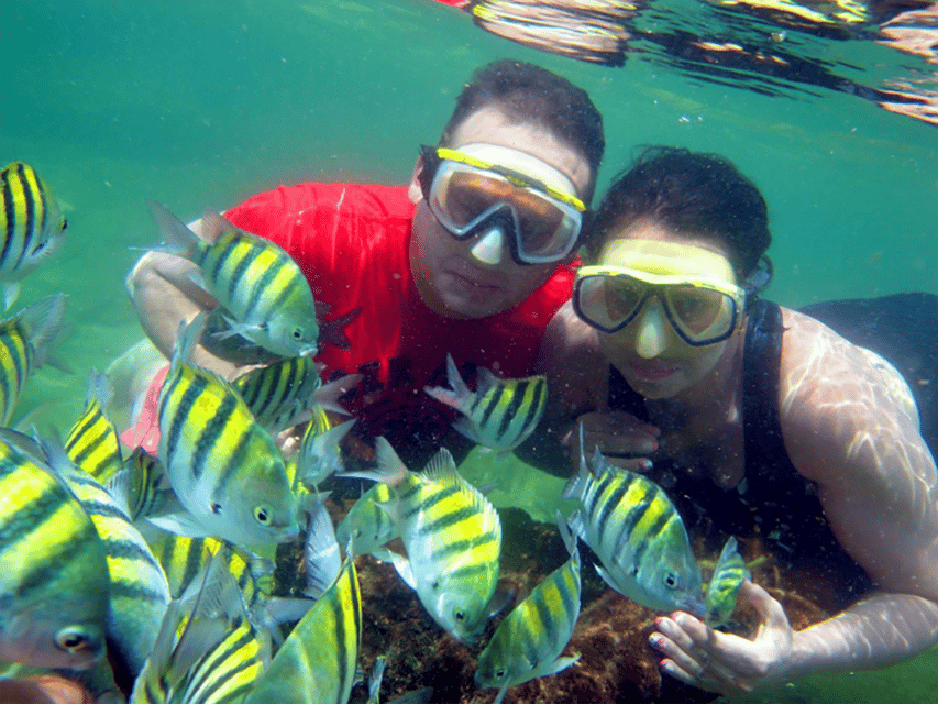 Santa Marta: Taganga Beach Snorkeling Tour With Transfer