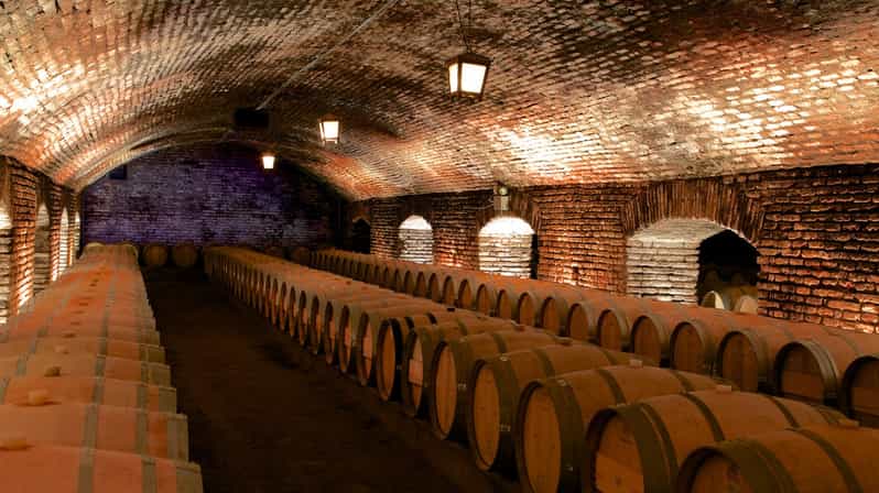 Santiago: Concha Y Toro Vineyard Tour With Transfer & Tasting
