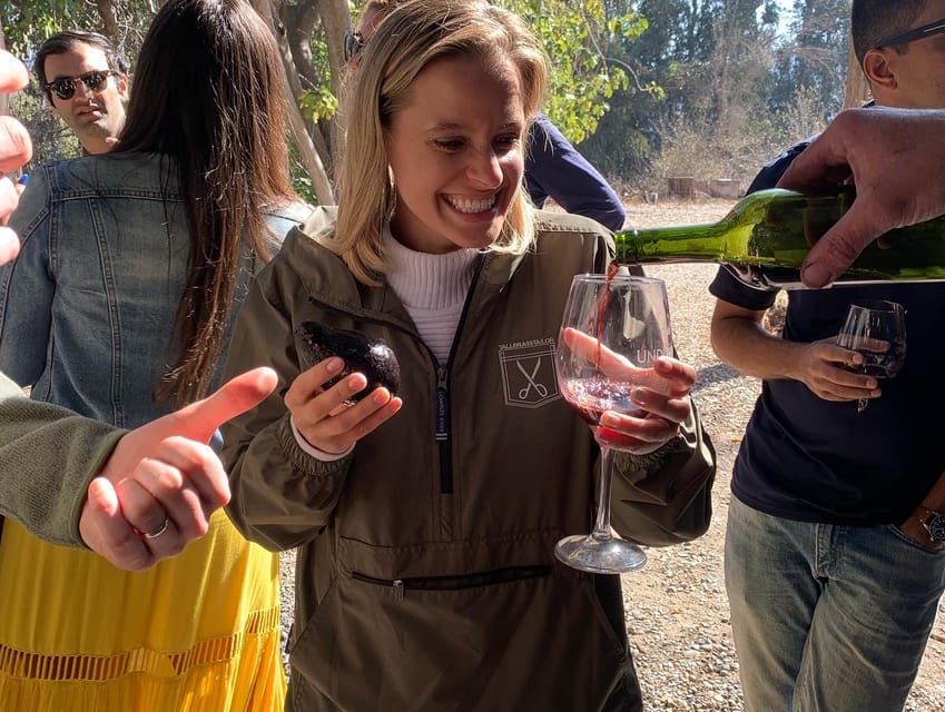 Santiago: Maipo Valley Wine Tasting Tour With 4 Vineyards