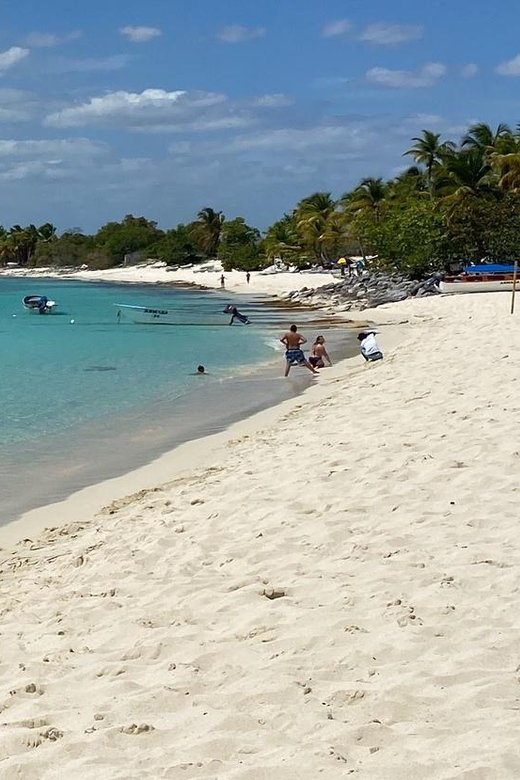 Saona Island Full-Day Tour With Lunch From Punta Cana