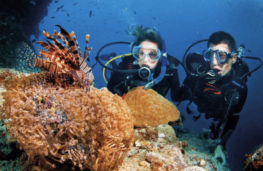 Scuba Dive in Anchor Ledge, Laje De Santos