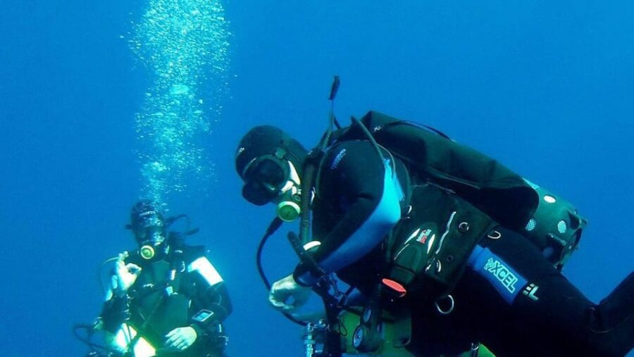 2 Best Scuba Diving Experiences In Fernando De Noronha