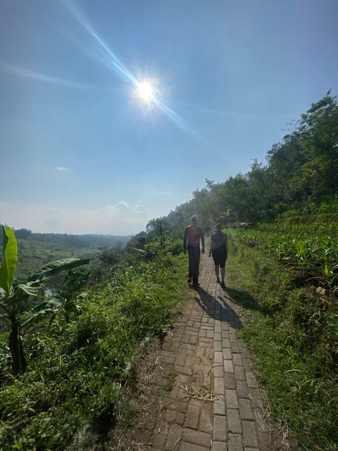 Selogriyo Temple With Rice Terrace Trekking