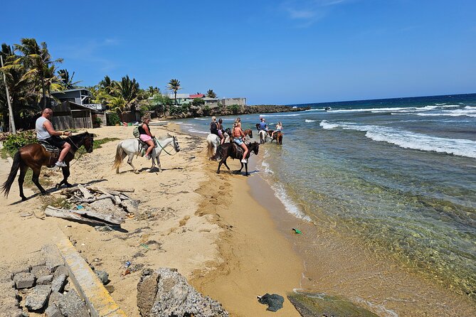 Shore Excursion: Hamilton Horseback Ride With Monkey & Sloth - Key Points