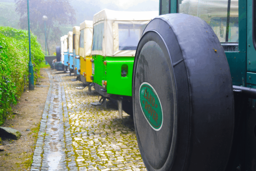 Sintra: Half Day Jeep Safari - Activity Overview
