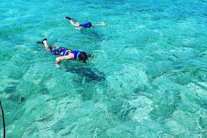 Small-Group Snorkeling Experience at Sea Garden - Overview of the Experience