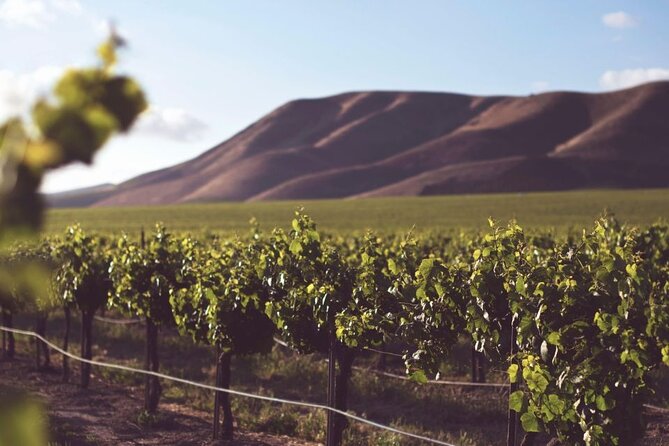 Smoky Mountains 3 Days or 7 Days Wine Tasting Pass