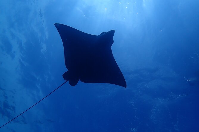 SSI Advanced Adventurer Diver Course