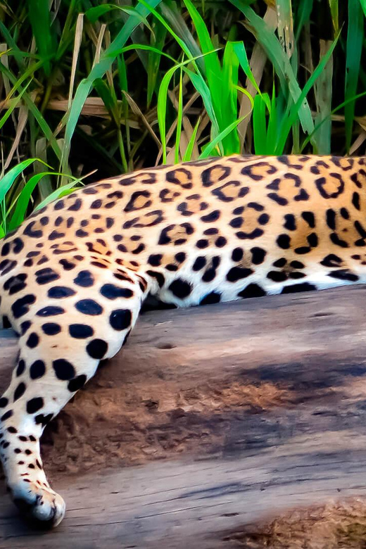 2 Best 3 Day Tours In Madre De Dios River