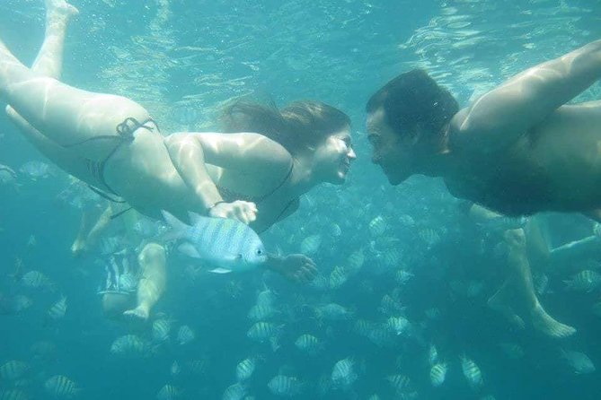 Transfer Paraty
