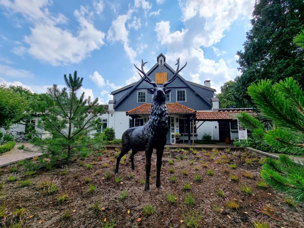 Veluwe Hotel De Beyaerd Review