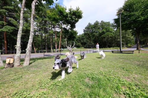 Yutorelo Tateshina Hotel With DOGS - Key Points