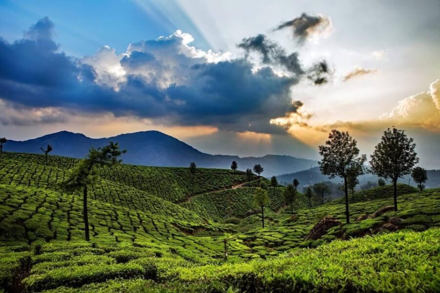 07 Day Backwater of Kerala Luxury & Exclusive Honeymoon Tour