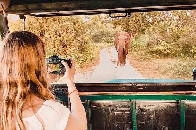 08 - Day Classic Tour With English Speaking Drive and Private Luxury Vehicles - Inclusions and Amenities