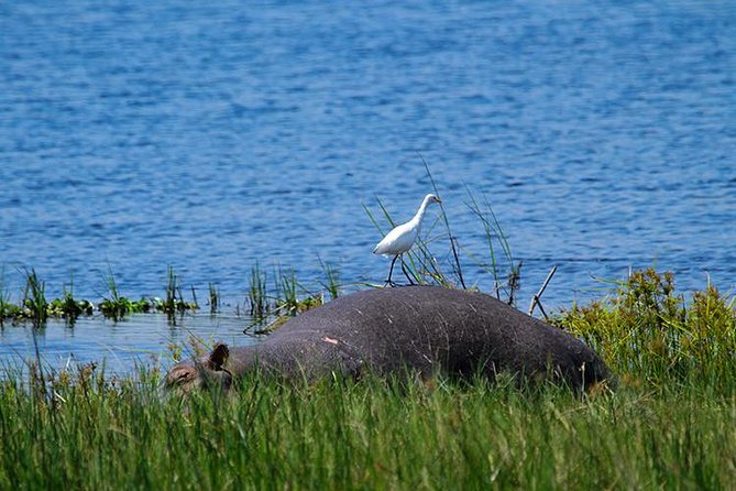 1 Day Akagera Wildlife Safaris Rwanda (2 Pax Min) - Tour Overview