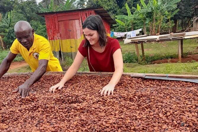 1 Day Cocoa Farm Tour