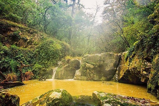 1 Day Excursion Nature and Archeology Bulla Regia and Beni Mtir From Tunis
