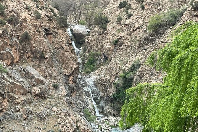1 Day Ourika Valley Tour