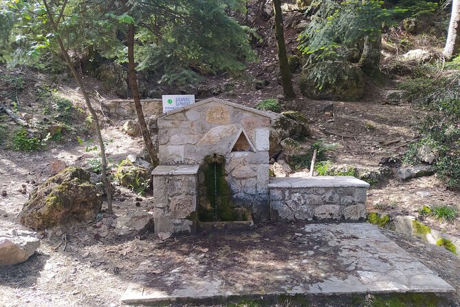 1 Day Parnitha Athens Private Hiking Tour - Tour Overview