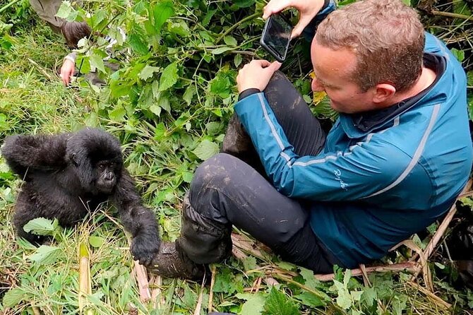 1 Day Rwanda Gorilla Trekking Tour In The Volcanoes National Park - Pickup Information